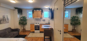 Studio apartment near metro and forest!, Stockholm
